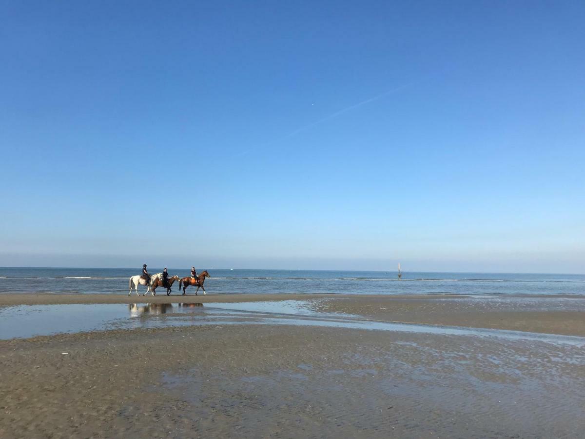 Koksijde Zeedijk Res Manh Apartment ภายนอก รูปภาพ